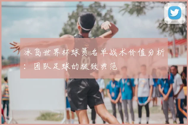 冰岛世界杯球员名单战术价值分析：团队足球的极致典范