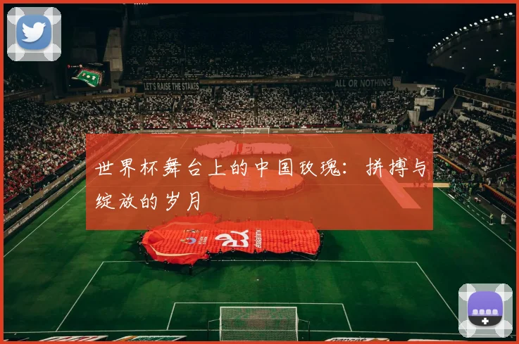 世界杯舞台上的中国玫瑰：拼搏与绽放的岁月