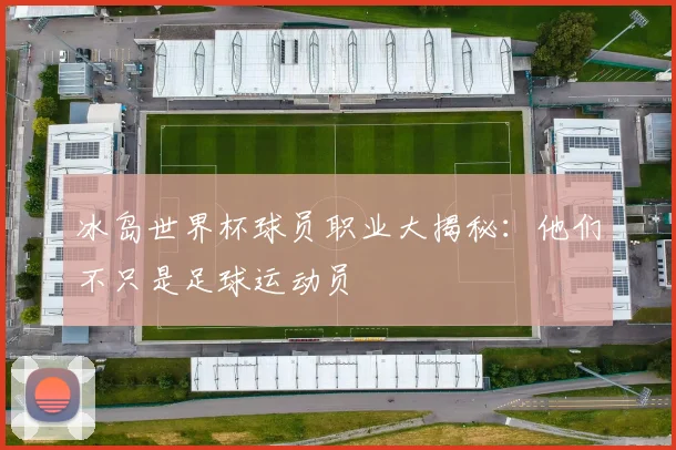 冰岛世界杯球员职业大揭秘：他们不只是足球运动员
