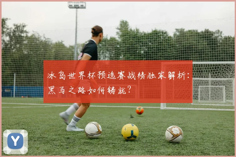 冰岛世界杯预选赛战绩独家解析：黑马之路如何铸就？